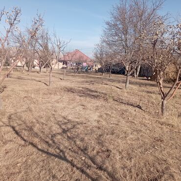 Продажа участков: 25 соток — 16