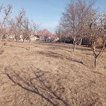 Продажа участков: 25 соток — 11
