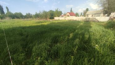 кара балта продаю участок: Времянка, 40 м², 2 комнаты, Собственник, Старый ремонт