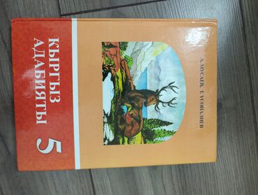 информатика 5кл: Кыргыз адабияты 5 класс А Мусаев учебник, книга книги, учебники