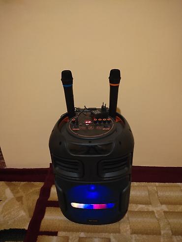 wifi antenna usb: Portativ karaoke akustik sistemi – SX-1206 - Güclü səsgücləndirici — 2