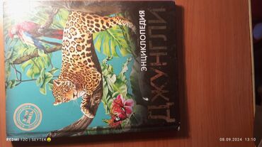энциклопедии: Продаю энциклопедию 
Джунгли 
состояние б/у 
цена 100сом
торг есть