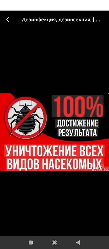 плиточные работы бишкек: Дезинфекция, дезинсекция, | Муравьи, | Квартиры — 6