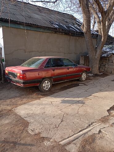 Audi: Audi 100: 1989 г., 2.3 л, Механика, Газ, Седан