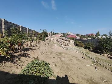 zal studio evler: 1 otaqlı, 550 kv. m, Kredit yoxdur — 6