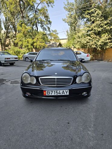 американская короткошёрстная кошка купить: Mercedes-Benz C-Class: 2003 г., 1.8 л, Автомат, Бензин, Универсал