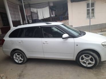 кузов форт транзит: Skoda Fabia: 2008 г., 1.4 л, Механика, Бензин, Универсал