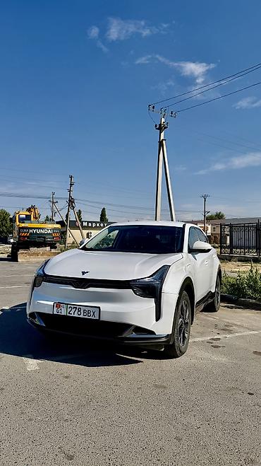 JMEV: JMEV : 2024 г., Автомат, Электромобиль, Кроссовер — 2