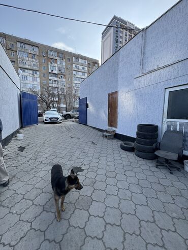 Склады и мастерские: 🔥 Бомба! Только для быстрых! 🔥 💥 7,4 сотки по ОПТОВОЙ цене + Готовый — 5