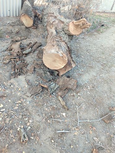 размеры кухонной мебели: Кара жыгач 5 м2 м