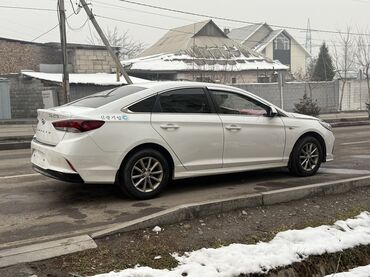 Hyundai: Hyundai Sonata: 2020 г., 2 л, Автомат, Газ, Хэтчбэк — 2