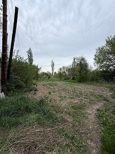 Продажа коттеджей и домов: Продаю дом Село Петровка На участке имеется Баня, Сараи для скота и at lalafo.kg — 4 Продажа коттеджей и домов: Продаю дом Село Петровка На участке имеется Баня, Сараи для скота и — 4