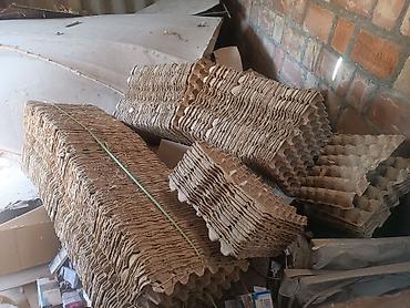 Продам лотки дешево
только звонить Ватсапп нету
штука 10 сом at lalafo.kg Продам лотки дешево
только звонить Ватсапп нету
штука 10 сом