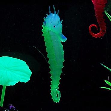 Lampalar: Akvarium silikon isiqveren deniz ati — 3