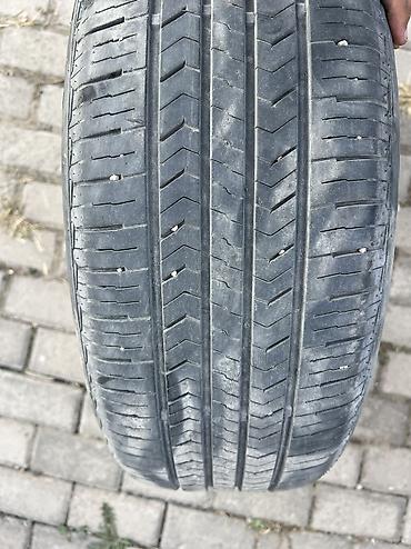 лампы для цветов: Шины 225 / 60 / R 16, Лето, Б/у, Пара, Легковые, Корея, Hankook — 3