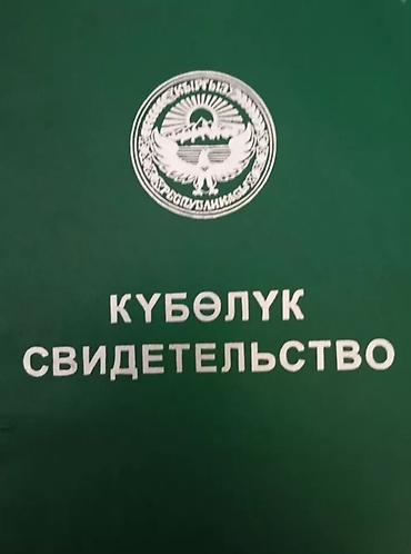 Жер тилкелери: 50 соток, Айыл чарба үчүн, Сатып алуу-сатуу келишими — 9