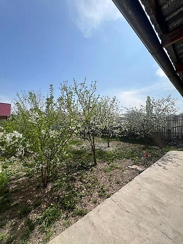 Продажа коттеджей и домов: 🏡 Уютный дом 📍 Тихий и живописный район — идеальное место для — 10