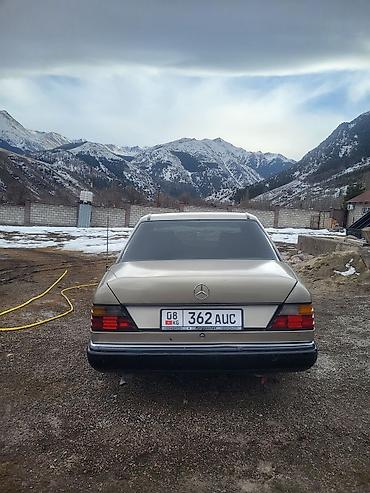 Mercedes-Benz: Mercedes-Benz W124: 1989 г., 2.3 л, Автомат, Бензин, Седан — 4