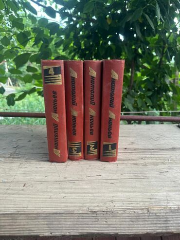 Художественная литература: Классика, На русском языке — 3