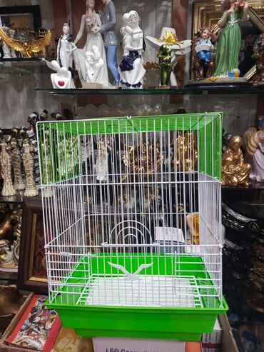 Qəfəslər: Təzə Qəfəslər 9azn boş qəfəslər Valnisti Tutuquşu Qəfəsi 9azn Amadin — 2