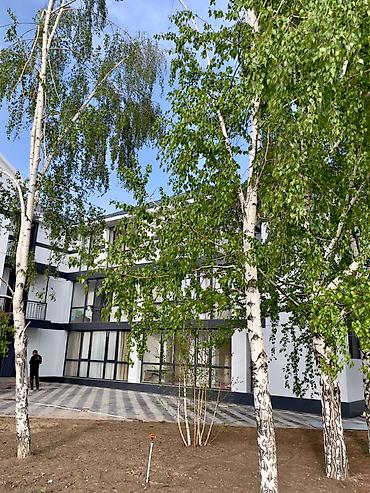 Продажа квартир: 2 комнаты, 32 м², Элитка, 3 этаж, Евроремонт — 12