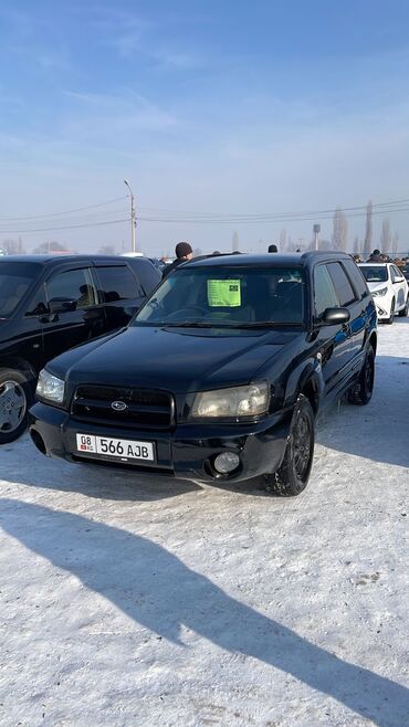 Subaru: Subaru Forester: 2003 г., 2 л, Автомат, Бензин