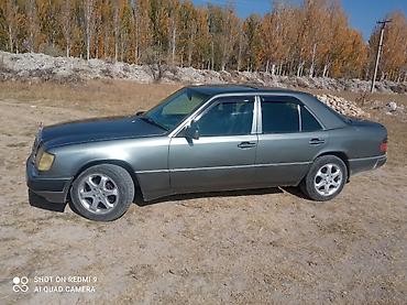 степ эреф 1: Mercedes-Benz 220: 1992 г., 2.2 л, Кол менен иштөөчү, Бензин, Седан — 4