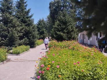 Иссык-Куль 2025: Номер, НЕПТУН Парковка, стоянка, Охраняемая территория, Футбольное поле — 9