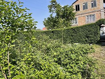 Продажа коттеджей и домов: Продаётся дом с участком в зелёном, тихом месте. Основные — 3