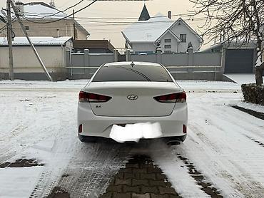 Hyundai: Hyundai Sonata: 2019 г., 2.4 л, Автомат, Бензин, Седан — 2