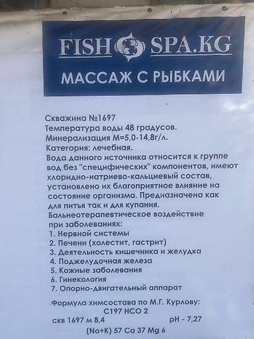 ресторан work: Отдых на Иссык-куле Горячи Источкик кереметсуу Бассейны с разными — 8