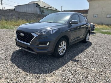 шевроле спарк 2017 цена: Hyundai Tucson: 2019 г., 1.6 л, Робот, Бензин, Кроссовер