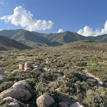 Сельхоз предприятия: Продаю Кошара, 40 соток, Действующий, С оборудованием, Отопление, Холодная вода, Электричество at lalafo.kg — 8 Сельхоз предприятия: Продаю Кошара, 40 соток, Действующий, С оборудованием, Отопление, Холодная вода, Электричество — 8