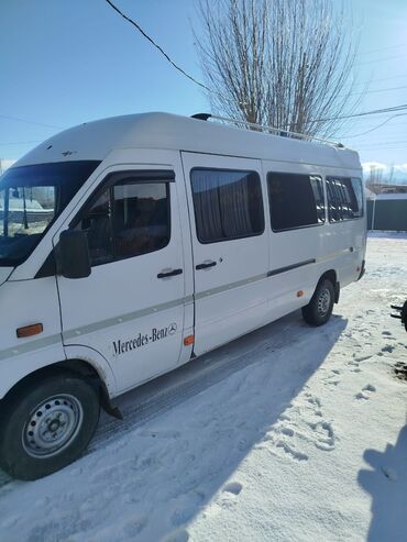 Mercedes-Benz: Mercedes-Benz Sprinter: 2003 г., 2.9 л, Механика, Дизель, Бус