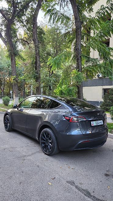 эстима левый: Tesla Model Y: 2024 г., Автомат, Электромобиль, Кроссовер — 5