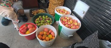 Продажа участков: 10 соток — 28