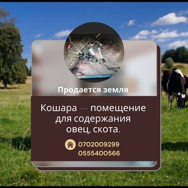 Продажа участков: 100 соток, Для сельского хозяйства