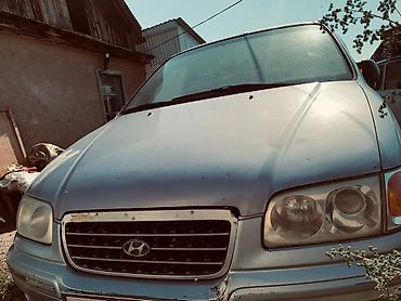 авто вит: Hyundai Trajet: 2000 г., Автомат, Бензин, Минивэн — 1