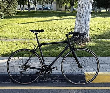 e53 amg: Шоссейный велосипед DelSol BlackCat 700C - Размер L - Система Shimano — 1