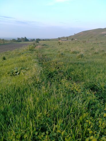 село ленский: 144 соток, Для сельского хозяйства, Договор купли-продажи