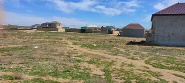 Torpaq sahələrinin satışı: 36 sot, Kənd təsərrüfatı, Maklerlər narahat etməsin, Kupça (Çıxarış)