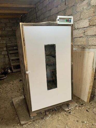 Xoruzlar: Xoruz, il: <1, Ödənişli çatdırılma — 10