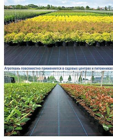Другие товары для дома и сада: Агроткань застилочная от сорняков Агроткань — цельнотканевый плотный — 7