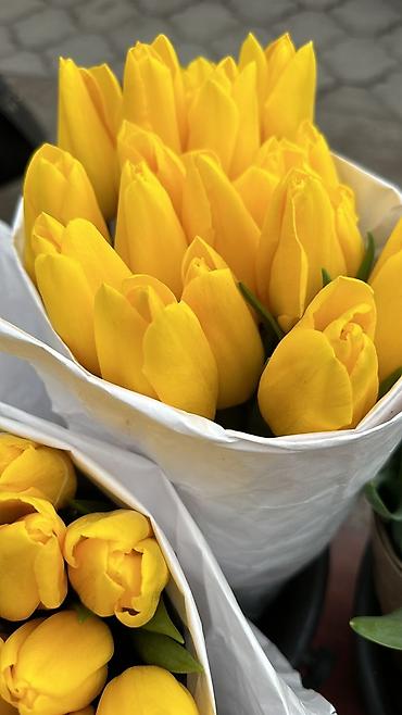 Букеты из живых цветов: Тюльпаны срезанные — букетные сборки. - Варианты окраски: насыщенный — 1