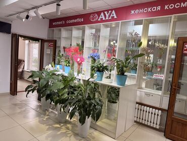 орозбекова жибек жолу: Ижарага берем Соода жайы, Өзүнчө турган дүкөн, 25 кв. м Иштеп жаткан, Жабдуулары менен, Ремонту менен, 1-сызык