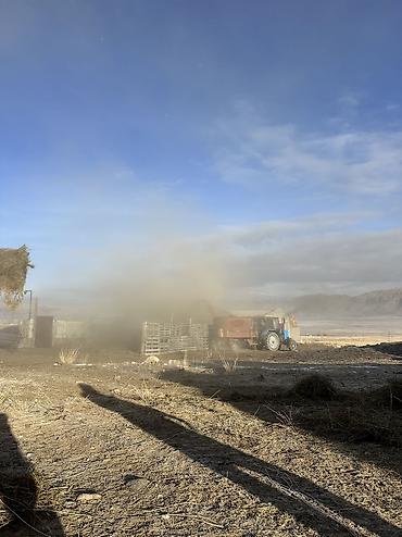 работа бишкекте: Тогуз-булак айылына кой кайтарганга малчы керек — 1
