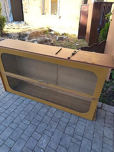 tort sifarişi bakı: Normal vəziyyətdədir çox yaxşı nədə çox pis deyil. Masallıda — 3