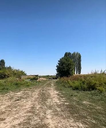 сниму квартира без хозяина: 31 соток, Для строительства, Красная книга — 2