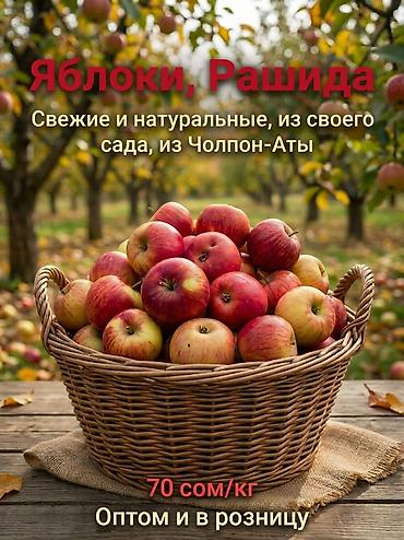 баткен өрүк: Алмалар Дүң, Чекене — 1