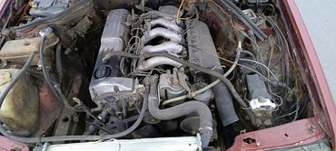 Mercedes-Benz: Mercedes-Benz W124: 1995 г., 2.5 л, Механика, Дизель, Седан — 6